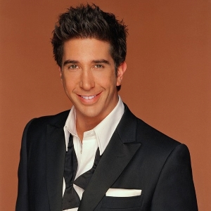 A headshot of a man (David Schwimmer) wearing a suit.